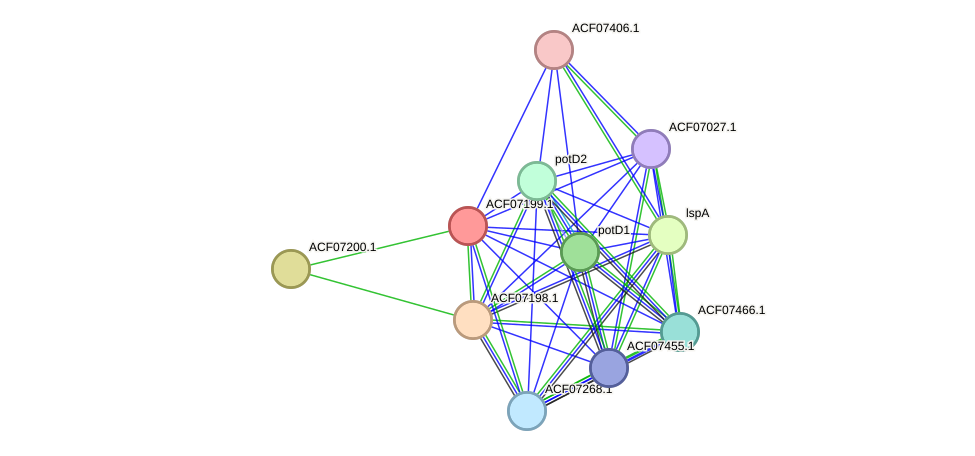 STRING protein interaction network