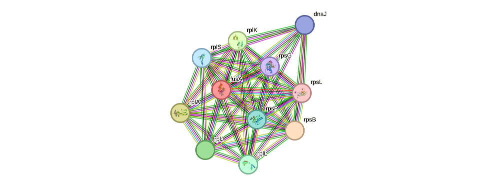 STRING protein interaction network