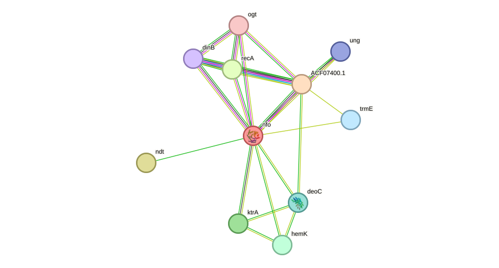 STRING protein interaction network