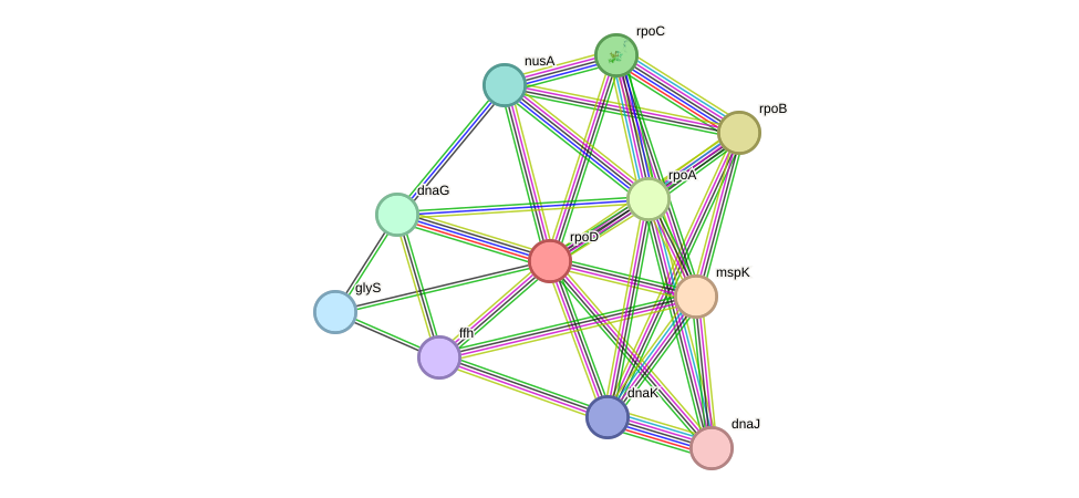 STRING protein interaction network