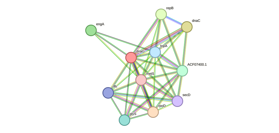 STRING protein interaction network