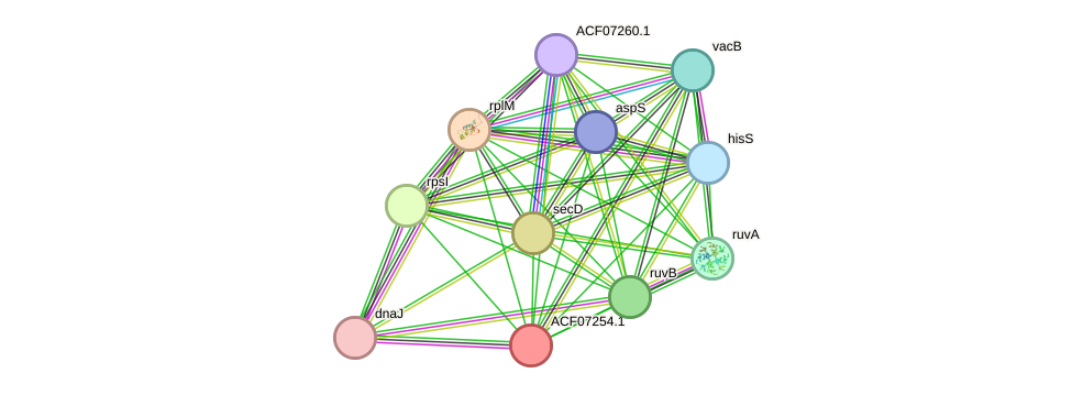 STRING protein interaction network