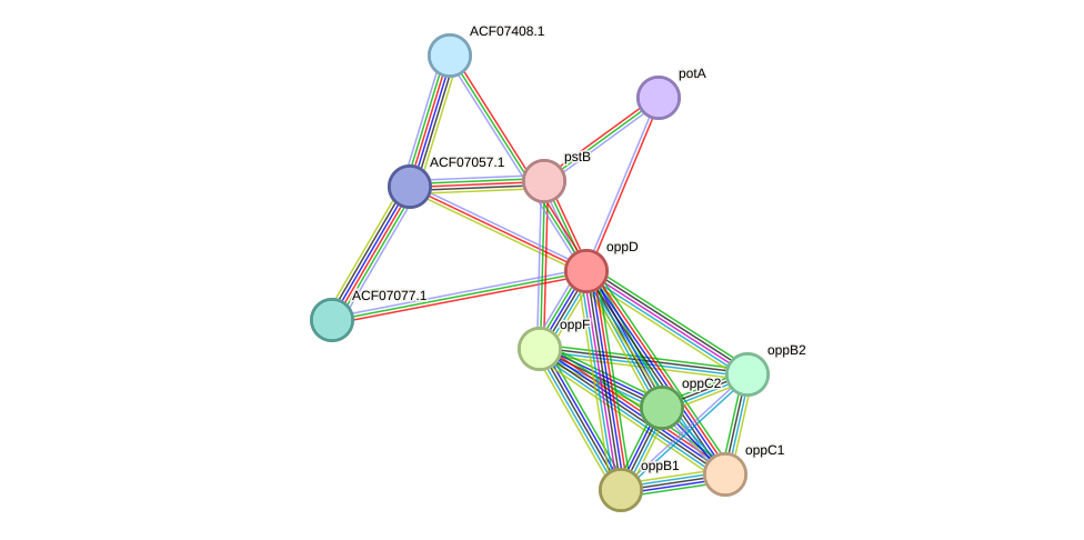 STRING protein interaction network
