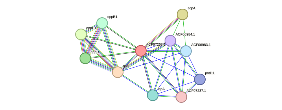 STRING protein interaction network