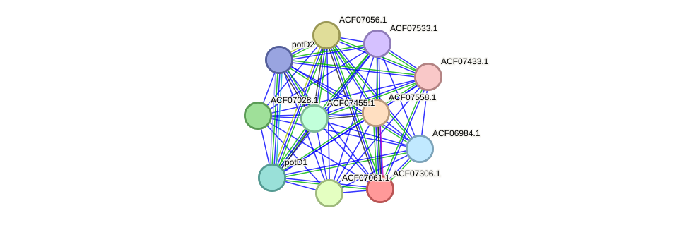 STRING protein interaction network