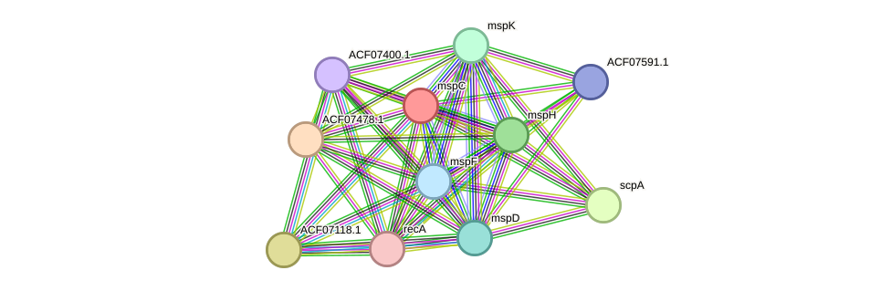 STRING protein interaction network