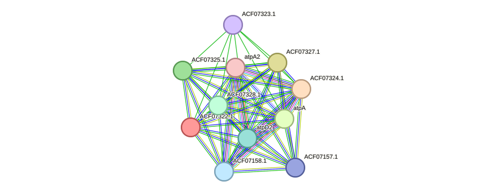 STRING protein interaction network