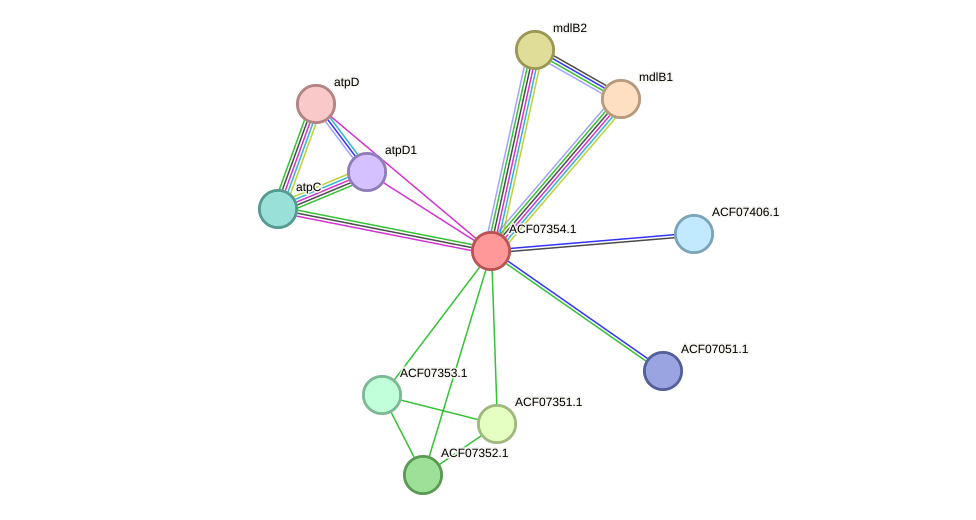 STRING protein interaction network