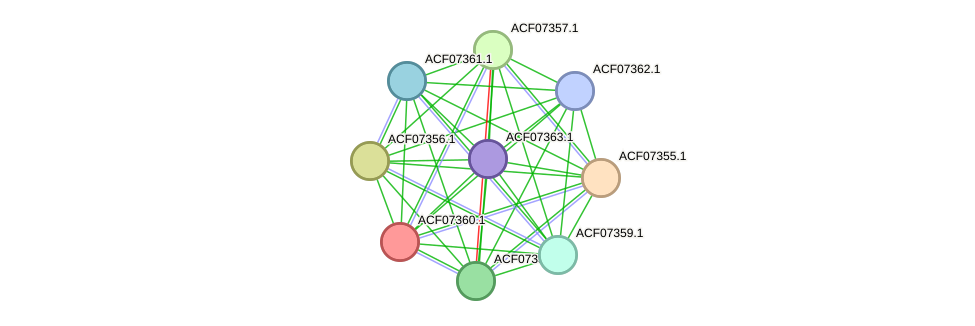 STRING protein interaction network