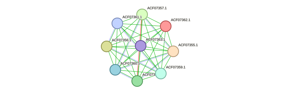 STRING protein interaction network
