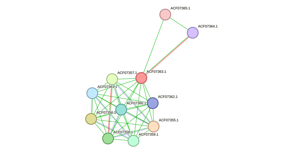 STRING protein interaction network