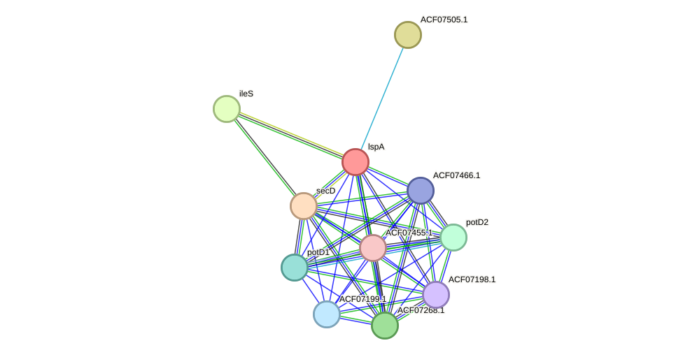 STRING protein interaction network