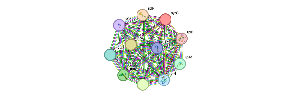 STRING protein interaction network