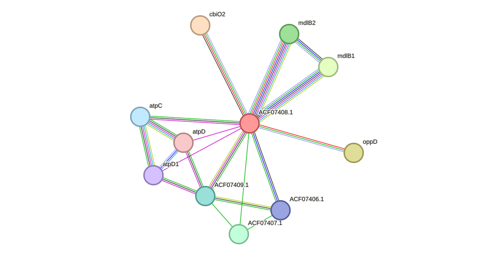 STRING protein interaction network