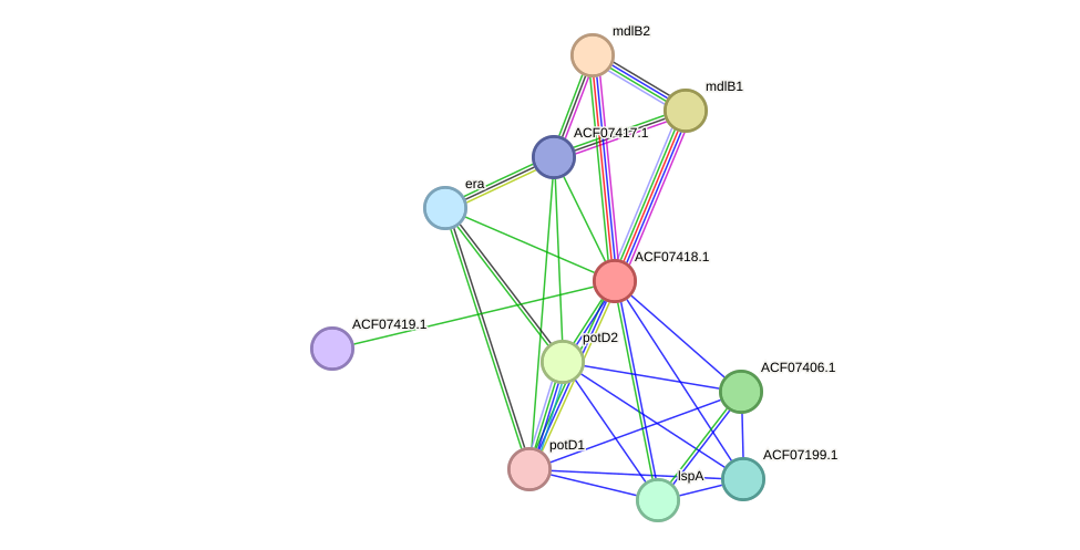 STRING protein interaction network