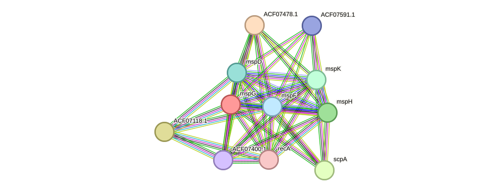 STRING protein interaction network