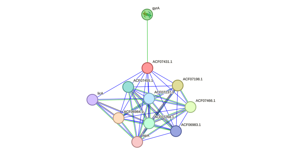 STRING protein interaction network