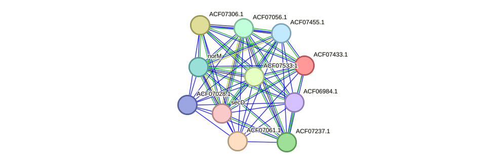 STRING protein interaction network