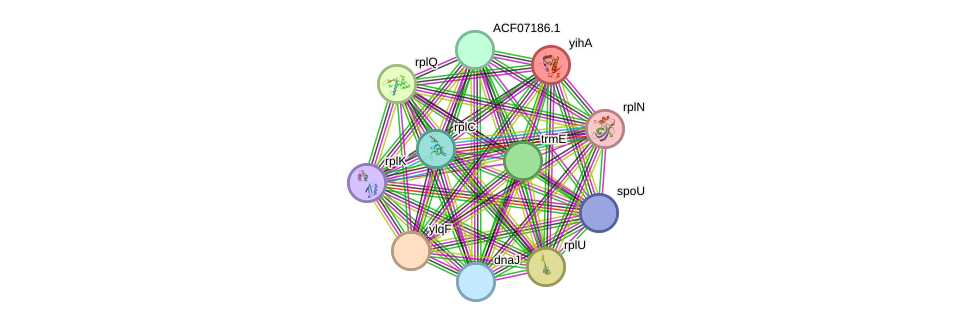 STRING protein interaction network