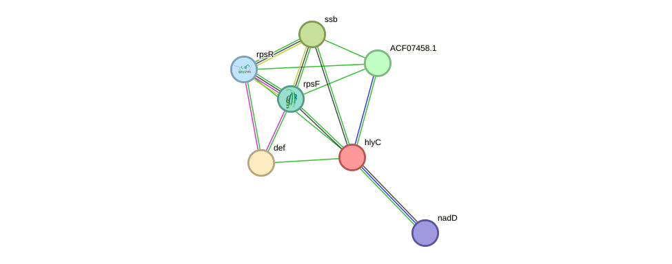 STRING protein interaction network