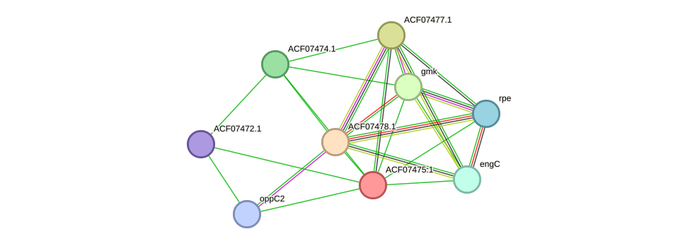 STRING protein interaction network