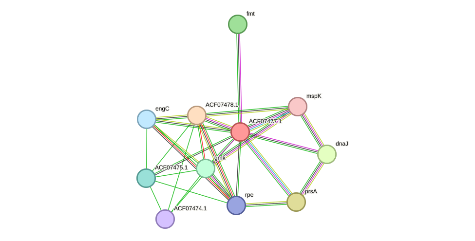 STRING protein interaction network