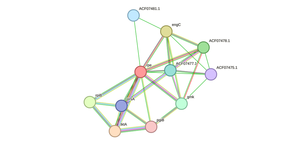 STRING protein interaction network