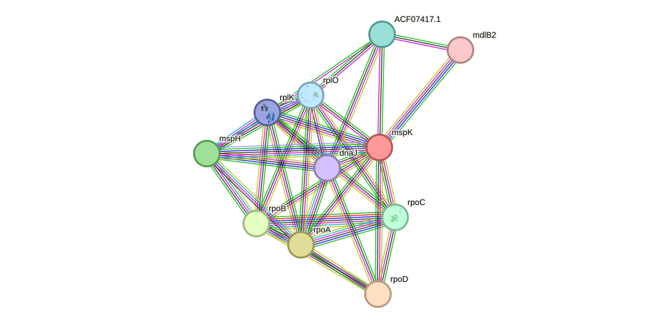 STRING protein interaction network