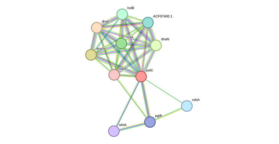 STRING protein interaction network