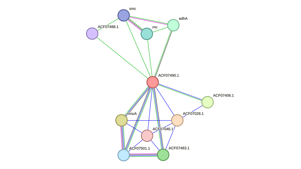 STRING protein interaction network