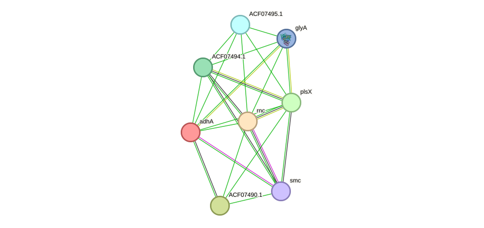 STRING protein interaction network