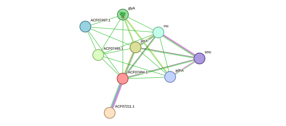 STRING protein interaction network
