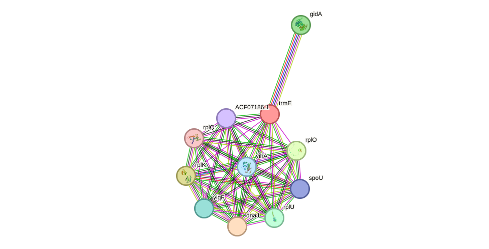 STRING protein interaction network