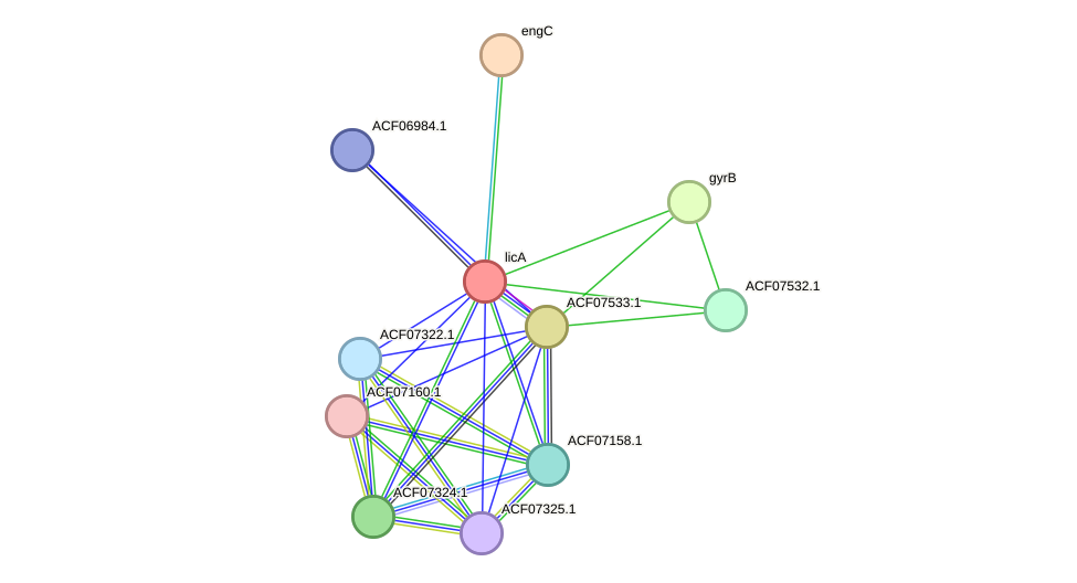 STRING protein interaction network