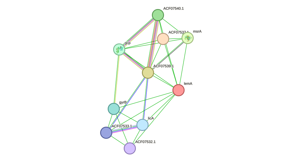 STRING protein interaction network