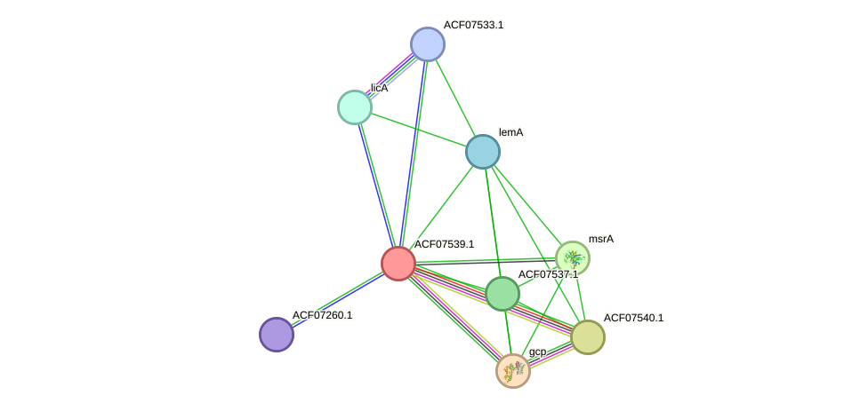 STRING protein interaction network