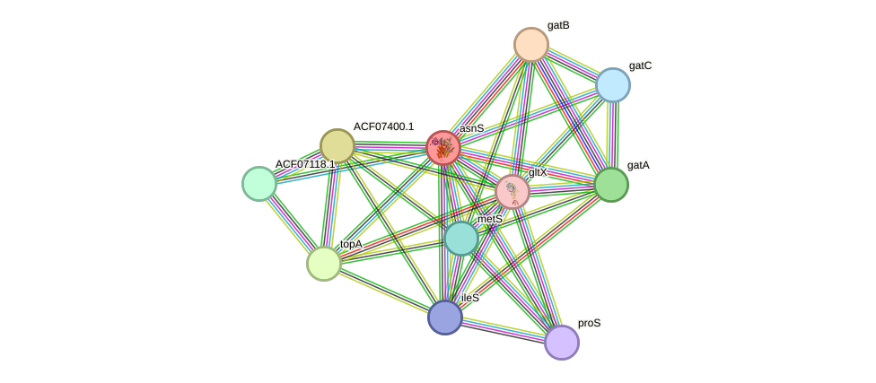 STRING protein interaction network