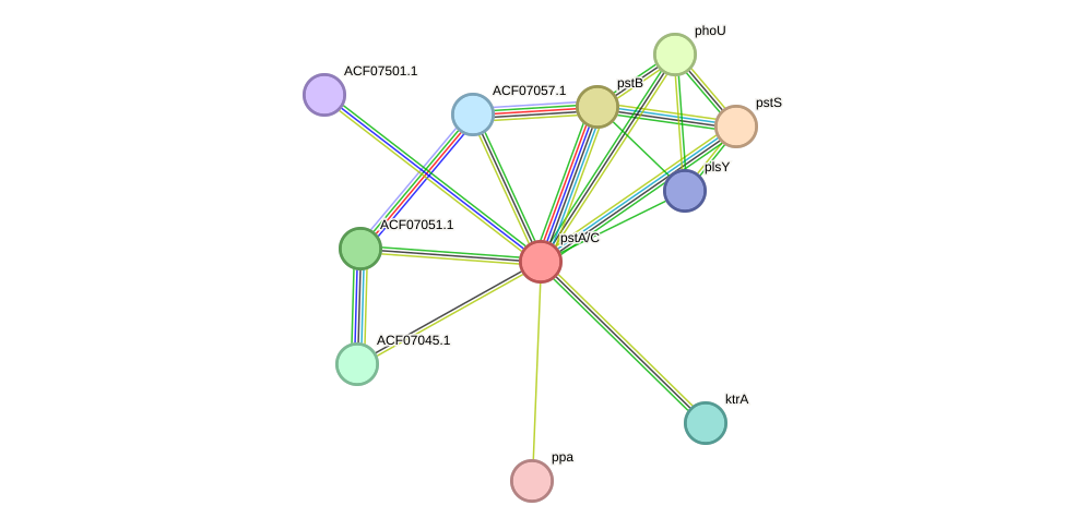 STRING protein interaction network