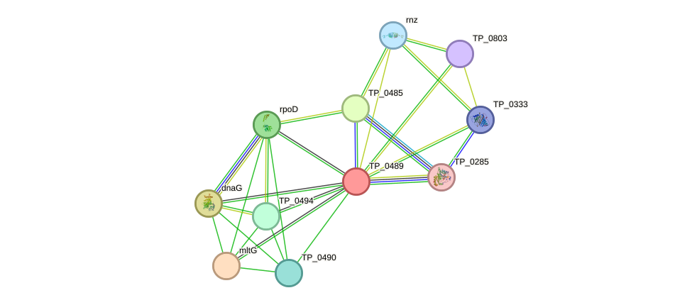 STRING protein interaction network