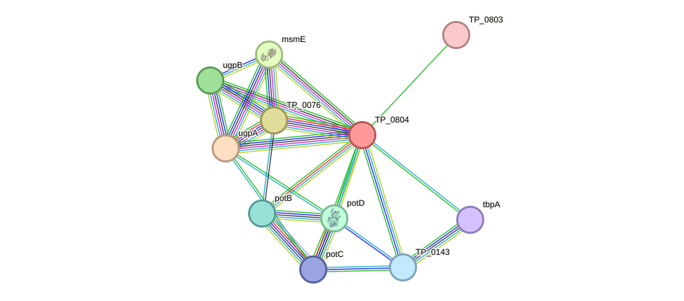 STRING protein interaction network