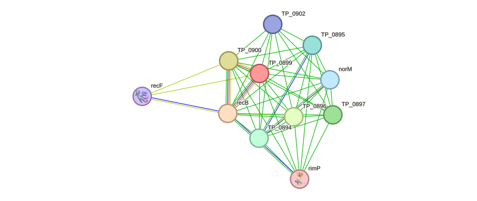STRING protein interaction network