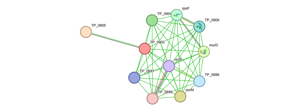 STRING protein interaction network