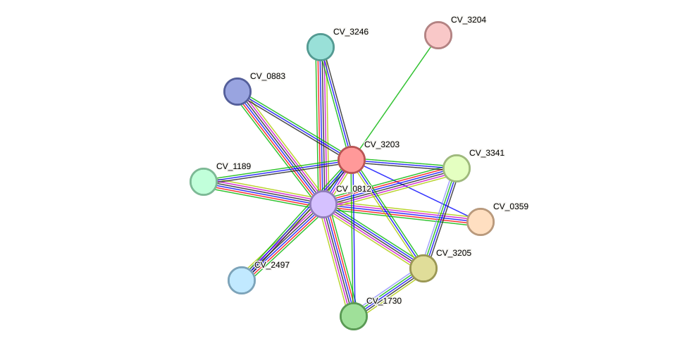 STRING protein interaction network