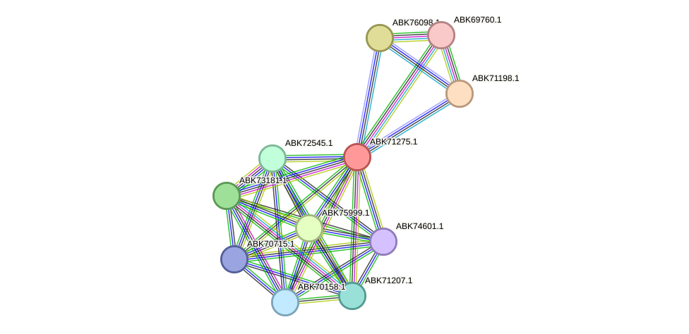 STRING protein interaction network