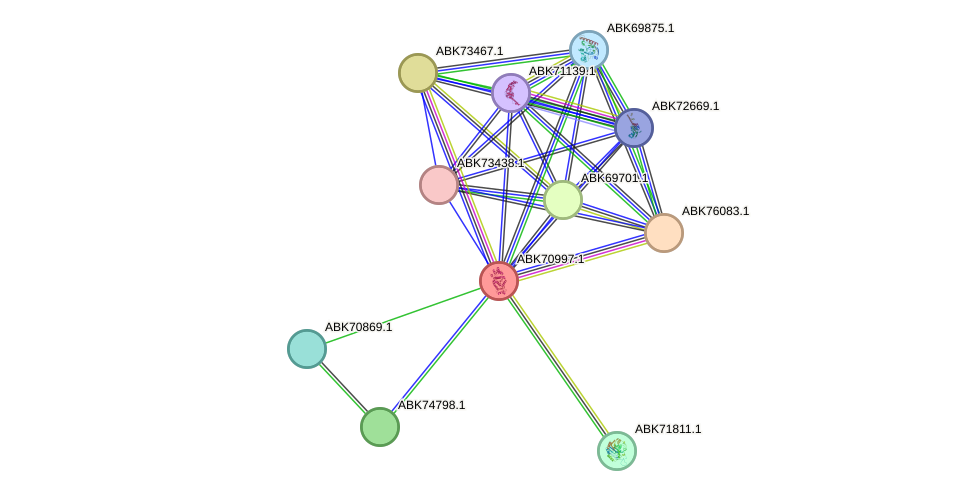 STRING protein interaction network