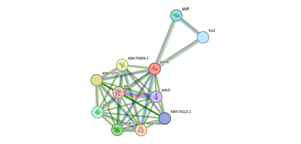 STRING protein interaction network