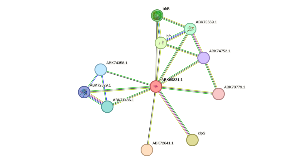 STRING protein interaction network