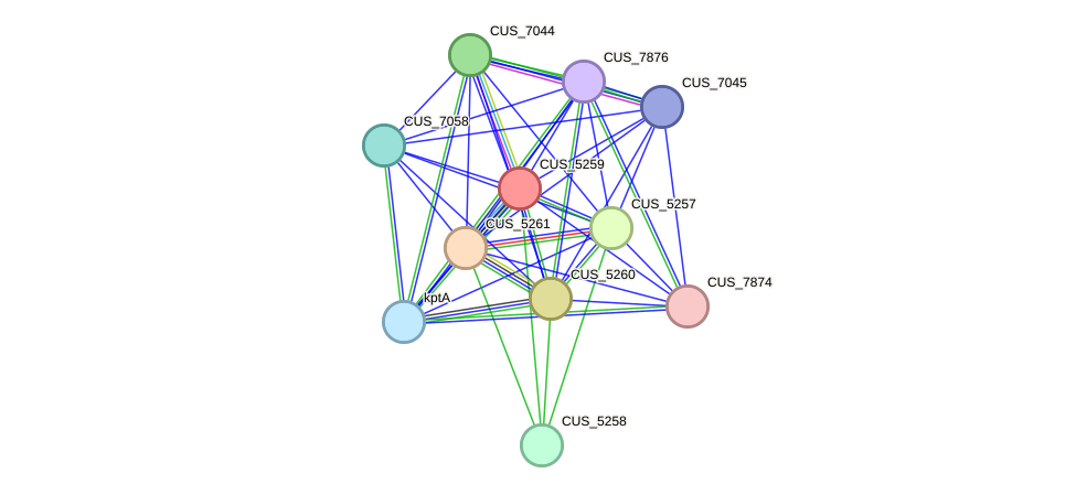 STRING protein interaction network