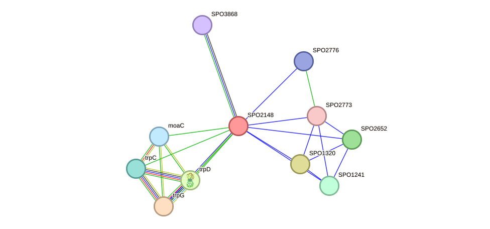STRING protein interaction network