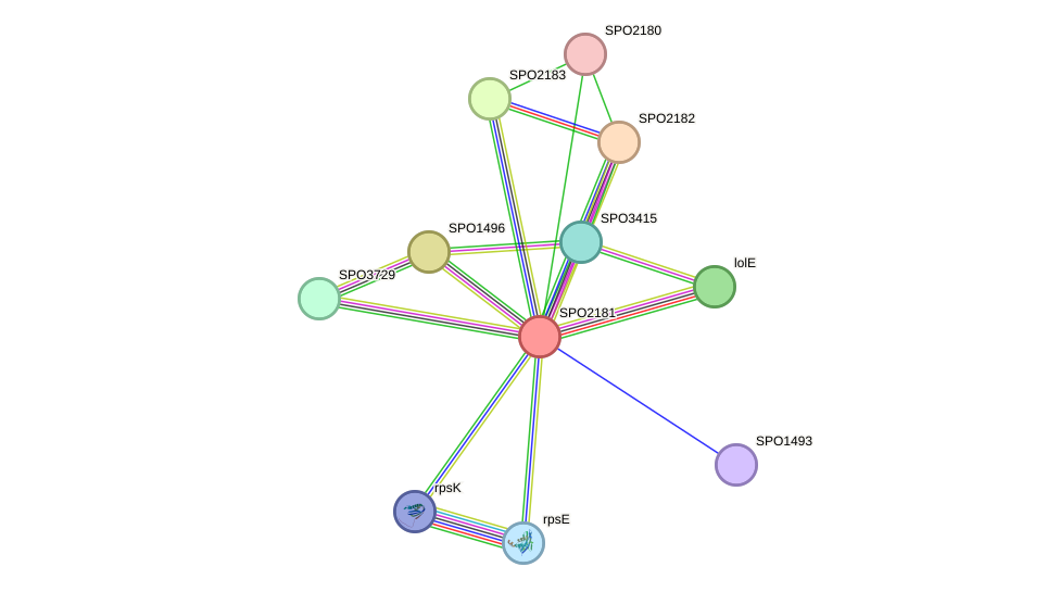 STRING protein interaction network